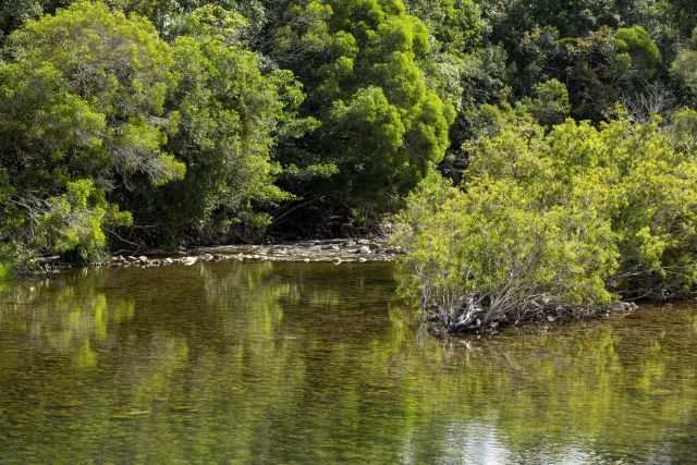 Paradise waterhole