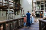 Photo of family observing male koala, Boondi, in his enclosure from viewing boardwalk.