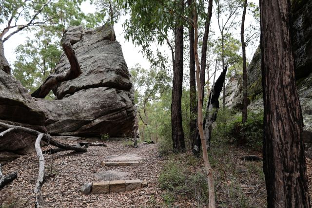 Goon Goon Dhina walking track featuring a dirt path surrounded by tall trees and large rock formations. 