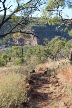 Photo of the path along Pyramid walking track