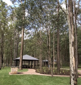 Photo of the Daisy Hill day-use area under the gum trees where picnics or barbecues can be enjoyed.