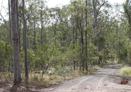 The Promisedland mountain bike trail car park is accessible by conventional vehicle in dry weather conditions.