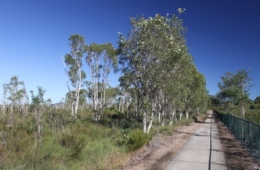 Cyclists, visitors in wheelchairs and parents with strollers can enjoy the park by using the cement council pathway that runs along a park boundary. 