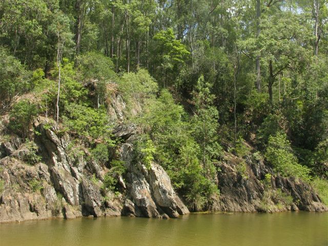 Little Yabba Creek near Charlie Moreland day-use area attracts a diverse range of wildlife.