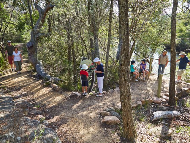 Look for birds along the track and aquatic life in the creek on the Wyberba walk.