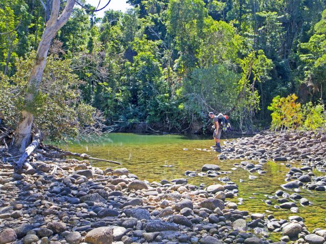 You'll wind through a wide variety of environments on the Thorsborne Trail.