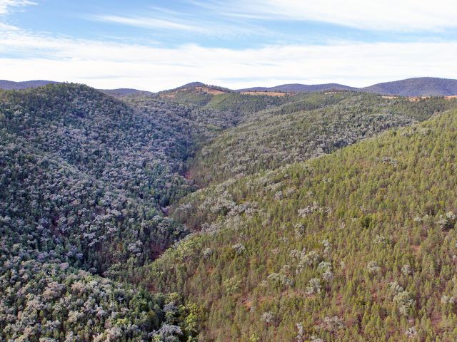 Ooline Creek sneaks down a side gorge off the Severn River in Sundown National Park.