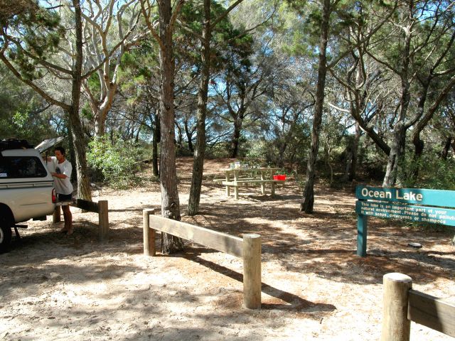 Lunch in the dappled shade of cypress pines.