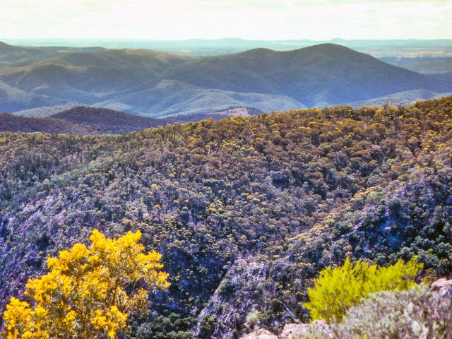 Hike up Mount Donaldson for scenic views.