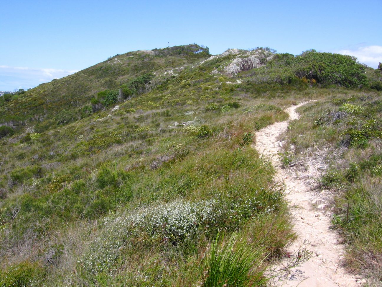 Emu Mountain Summit Walk | Noosa National Park | Parks and forests ...