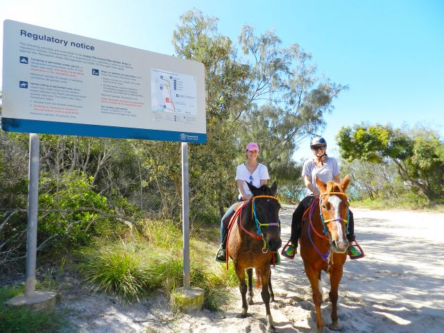 You can ride your horse on the eastern beach between the Pacific Boulevard beach access track and The Oaks.