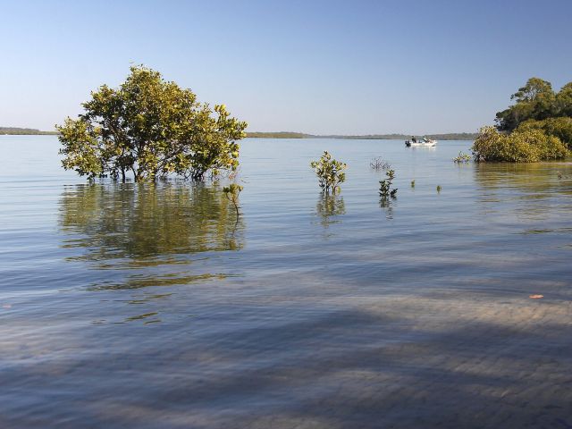 On the banks of the Burrum and Gregory rivers, Walkers Point day-use area is a prime location for a spot of fishing.