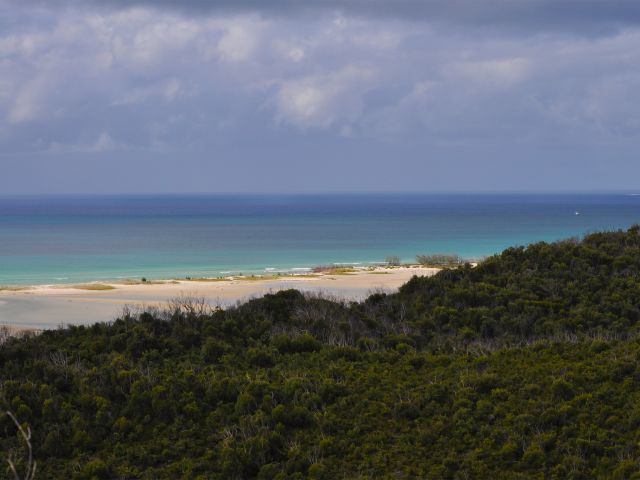 Coastal swamp views from Five Hills lookout.