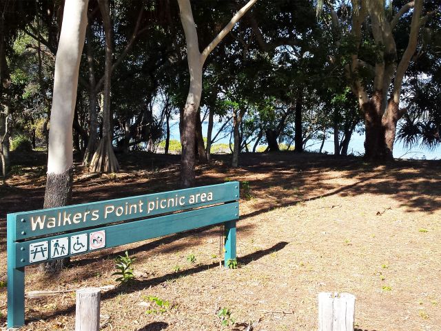Pick a shady spot on the banks of the Burrum River at Walkers Point day-use area.