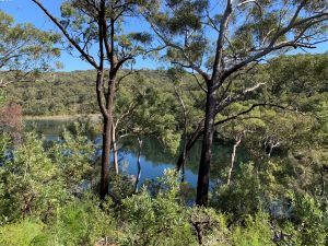 Image of Kaboora (deep silent pool) is an area of special cultural significance to the Quandamooka people. Please respect their culture by not swimming in the lake. Photo: Queensland Government.