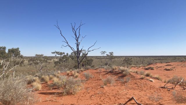 Image of ‘Little Red’ isolated dunes in the Welford National Park.