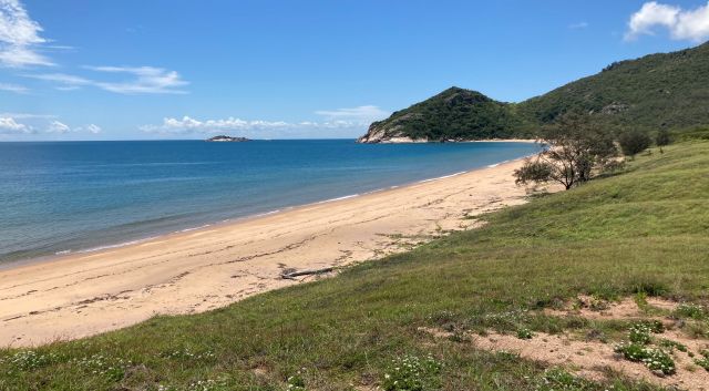 A beach with grass and water