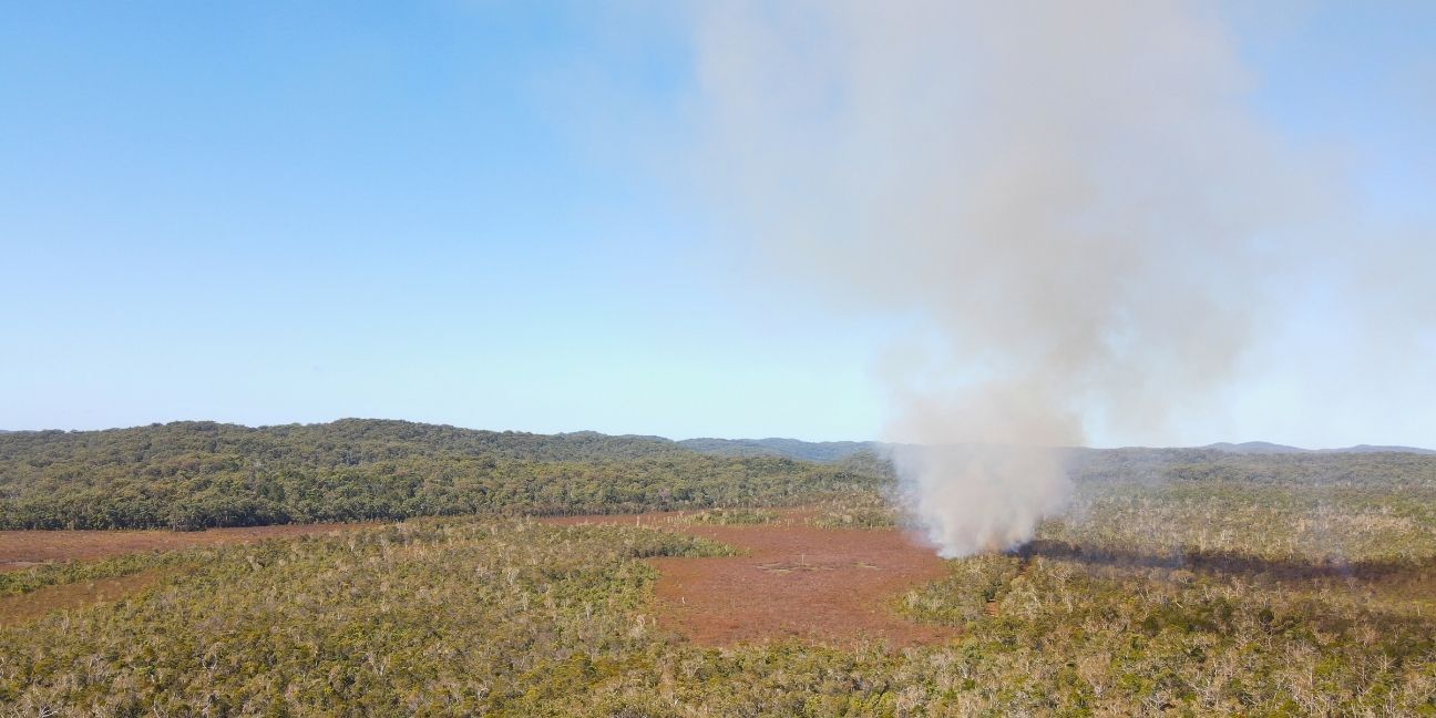 A drone view of a planned burn on K’gari. Featuring clear blue skies above and the rainforest below. 