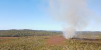 A drone view of a planned burn on K’gari. Featuring clear blue skies above and the rainforest below. 