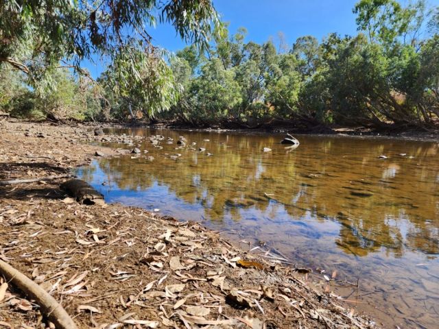 Photo of Little River at the day-use area adjoining Mima Teti camping area