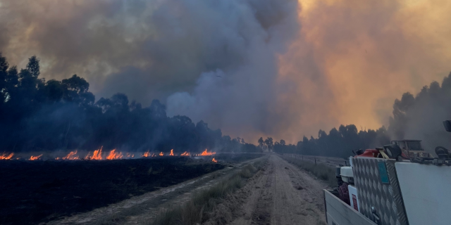 smoke billows from a bushfire