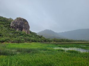 Deep-water lagoons and Many Peaks Range.