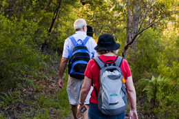 Image of a group of adults walking through the forest with backpacks on.