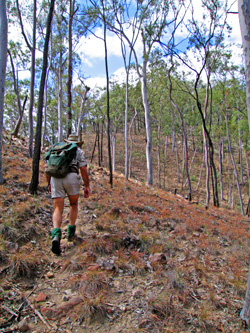 The Shepherds Peak track leads to excellent views over the park.