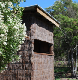 Image showing bird hides are nestled amongst flowering <em>Melaleuca bracteate</em> in late Spring.