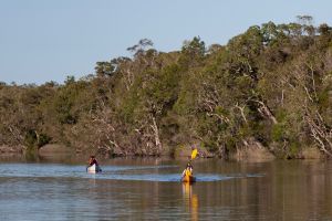 Two people canoing on a river.