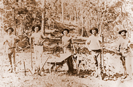 Image of a road gang on the Maryborough to Biggenden Road. Date unknown.