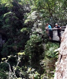 The viewing platform at the crater