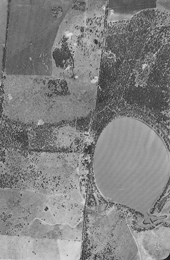 Due to expansion of agriculture, Lake Broadwater eventually became separated from other areas of bushland by cleared farmland. 