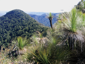 Image of the view to Mount Mitchell. A high level of physical fitness, navigational skills and cliff-scrambling skills are essential to enjoy the remote areas of Main Range National Park.