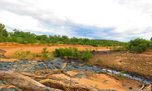 The contrasting colours of Rungulla National Park. 
