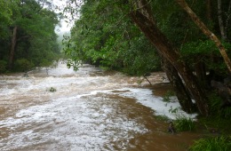 Image of flood waters which rise and fall quickly in this area and are a hazard to life and property. Plan to visit the park in dry weather.