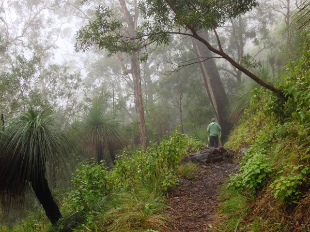 Sometimes you'll be shrouded in cloud along this track.
