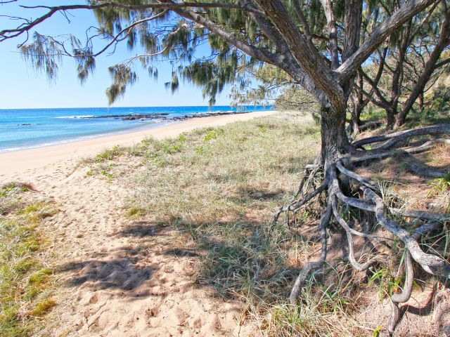 Take the short track to the beach to enjoy excellent fishing.