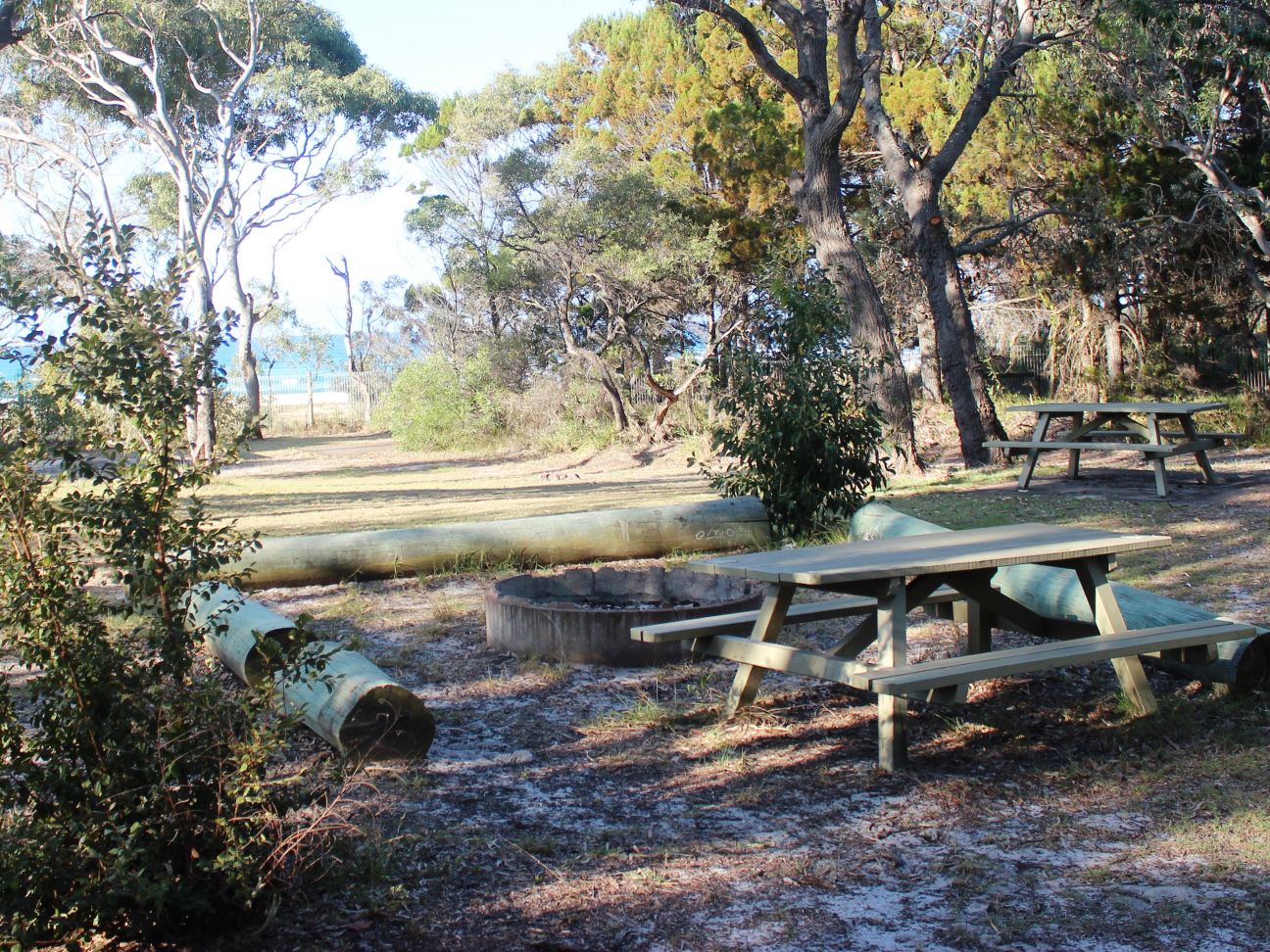 Waddy Point day-use area | K'gari, Great Sandy National Park | Parks ...