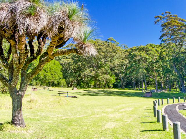 Burtons Well is a peaceful camping area on an open, grassy slope.