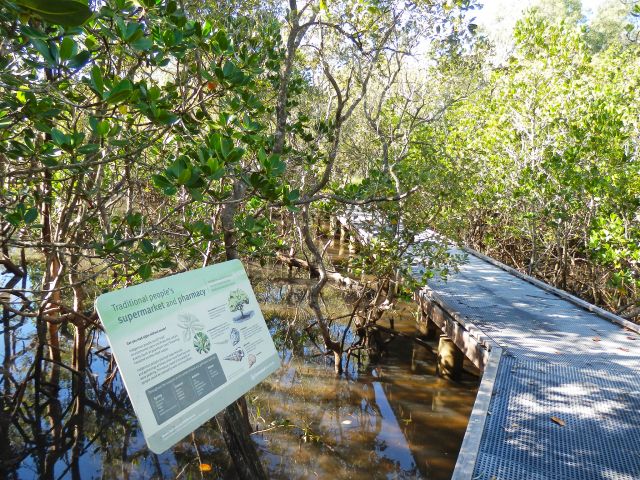 Learn about the area’s indigenous culture and the role of mangroves communities from signs along the track.