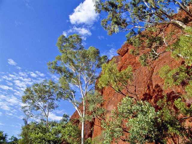 Photo of red gorge walls and blue skies which are typical of Boodjamulla National Park (Aboriginal Land).