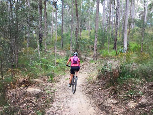 Enjoy an easy ride along the Ewen Maddock mountain bike trail.