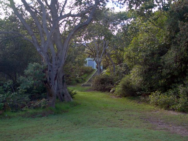 The Honeymoon Bay track starts at the northern end of North Point camping area.
