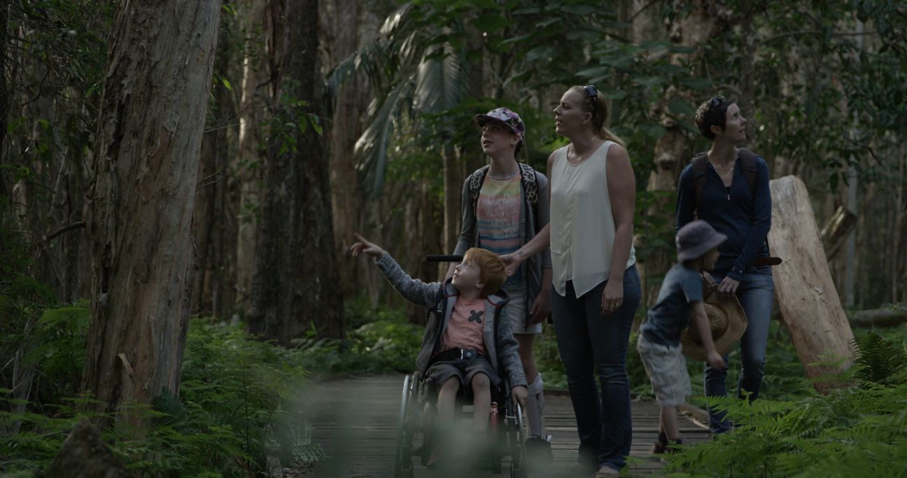 A family of 5, including 2 adults and 3 children, with one child in a wheelchair, on a timber boardwalk in a paperbark forest.