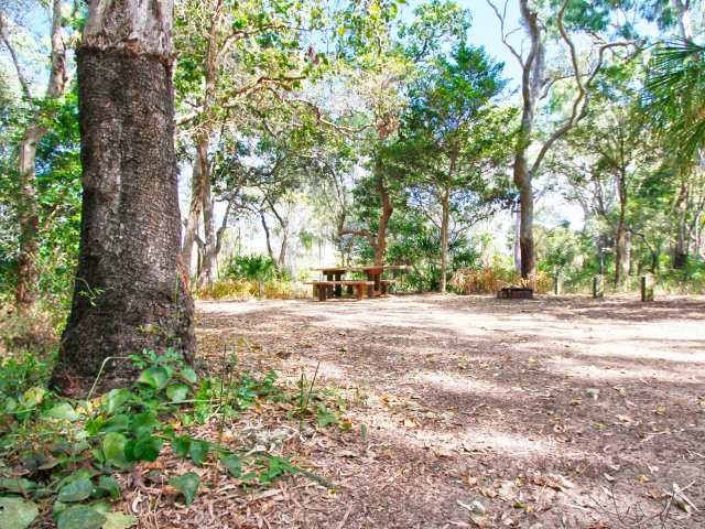 Picnic tables and fire rings at Eurimbula Creek camping area