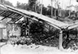 The old forestry nursery near Scrubby Creek