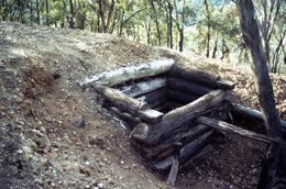 Mine shaft at Beecroft mine. 