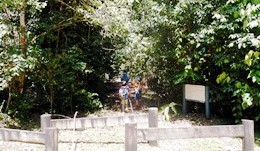 The first trail head on Wabunga Wayemba rainforest walking track. 