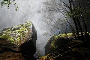 Image of the Queen Mary Falls.